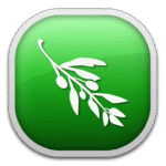 Olive pagina oficial