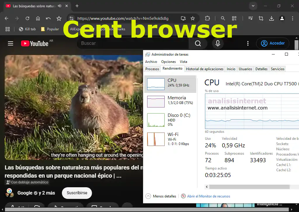 cent browser test